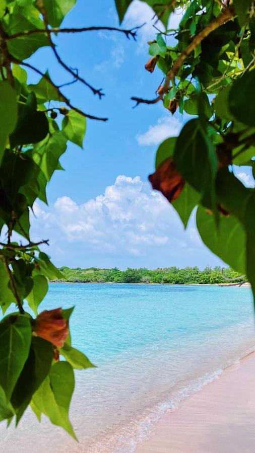 La Villa Ixora, Magnifique Villa Avec Piscine Les Abymes Bagian luar foto