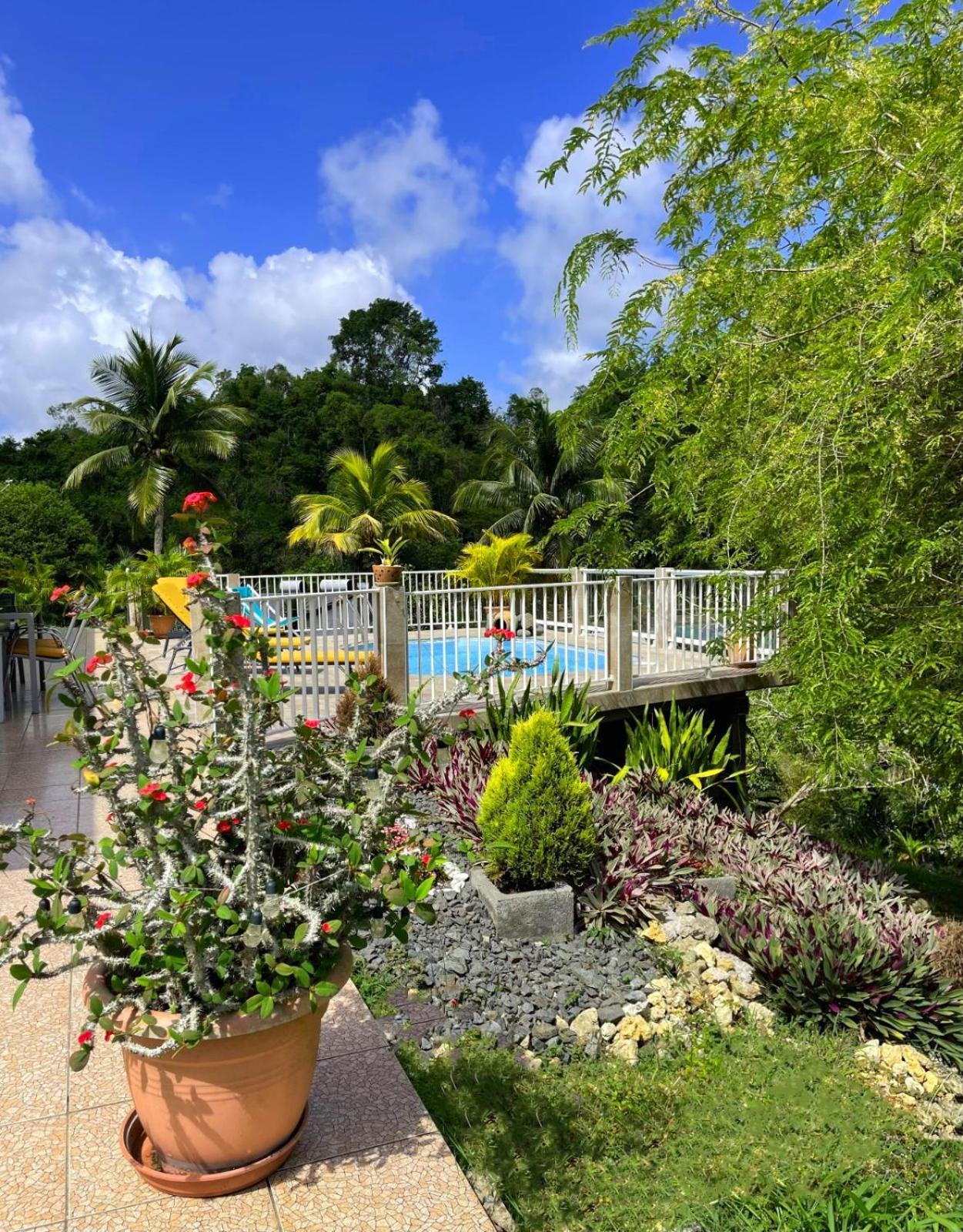 La Villa Ixora, Magnifique Villa Avec Piscine Les Abymes Bagian luar foto